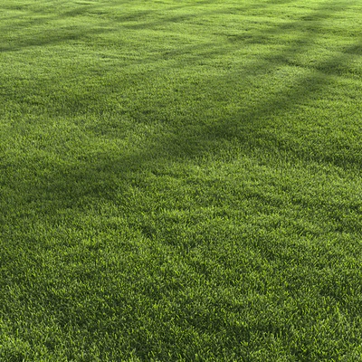Garden Lawn 6 — Вид 5