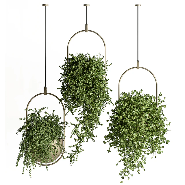 indoor Plant Set 410 - Hanging Plants — Descargar