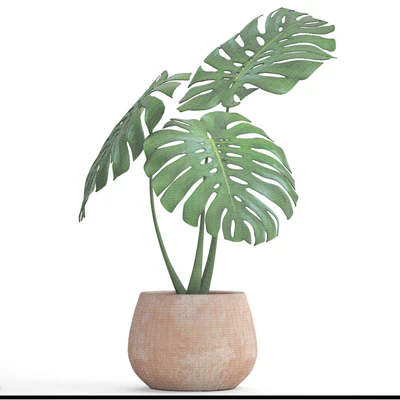 monstera, flower, pot, bush, flowerpot, clay, clinker, decorative, small plants — Ver 3