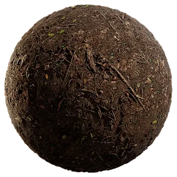 forest floor 001 — Скачать