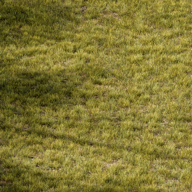 Short Grass Set 29 — Descargar