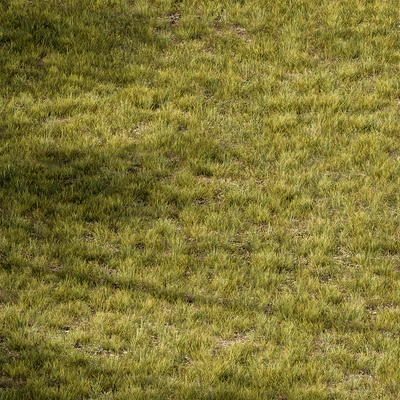 Short Grass Set 29 — Ver 5