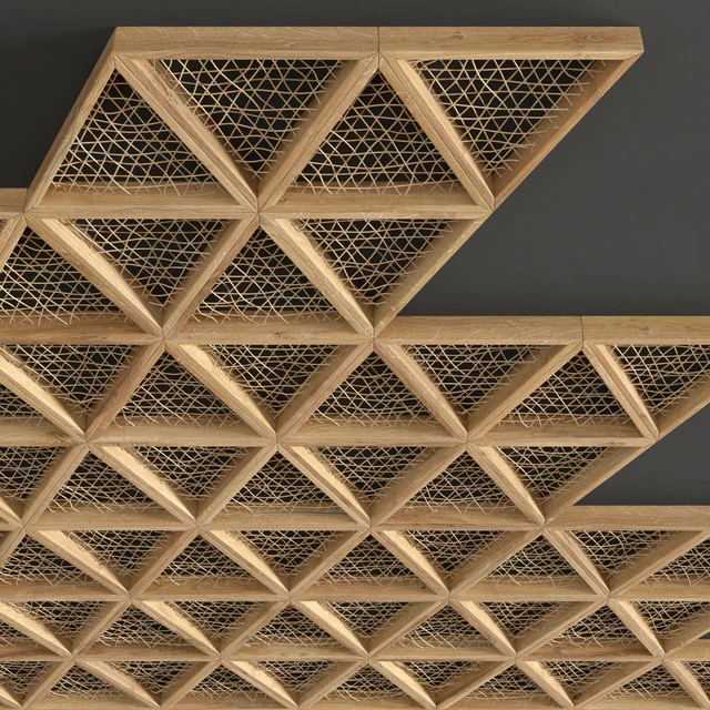 Ceiling tringle frame branch n1 / Ceiling of branches in a triangular frame — Descargar