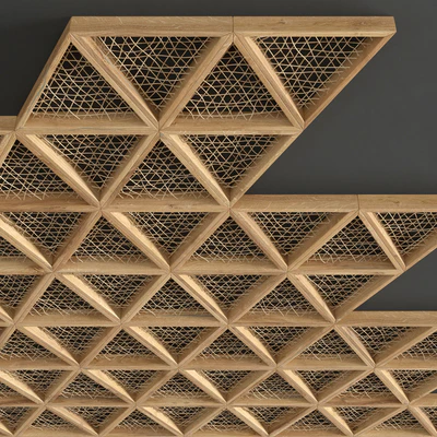 Ceiling tringle frame branch n1 / Ceiling of branches in a triangular frame — Ver 4