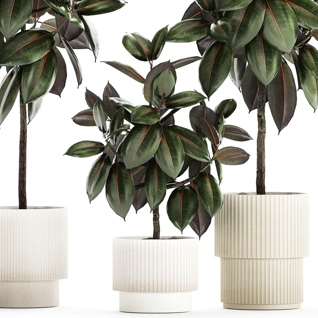 Plant collection 1432 — Descargar