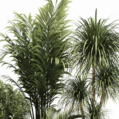 Indoor Plant Set 053 — Вид 3