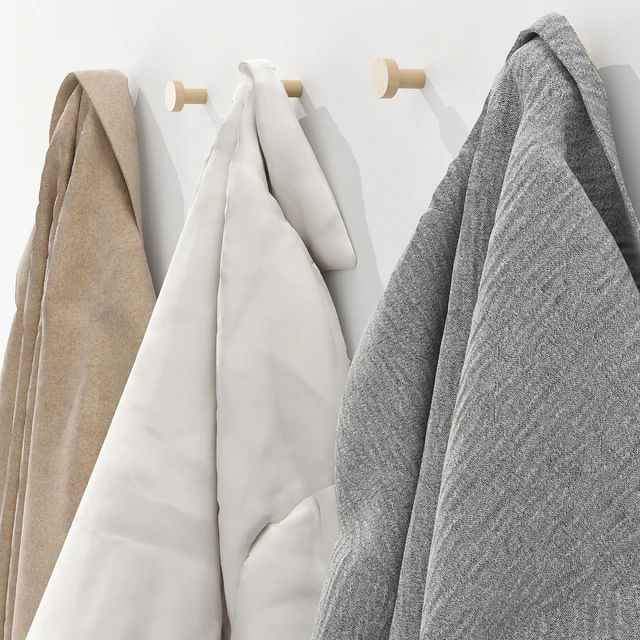 Outerwear and cap on hooks Set 01 — Descargar