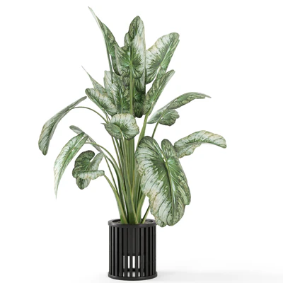 Indoor Plants  in Metal Pot - Set 842 — Вид 6