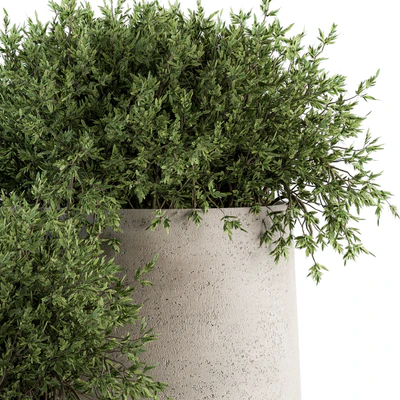 Outdoor Plants tree in Concrete pot - Set 125 — Вид 4
