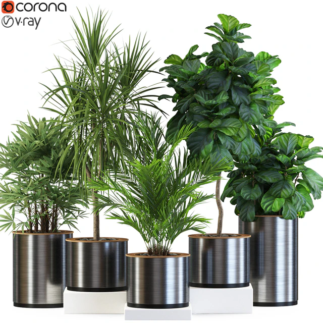 Plants collection 550 — Скачать