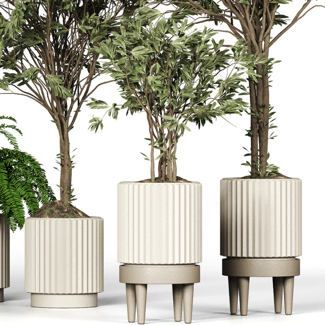 Collection plant 05 — Descargar