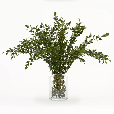 Branches in the vase 005 — Ver 2