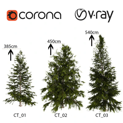 3 Ели — Скачать