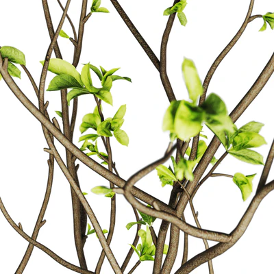 Lamp.ee vases with branches l48 — Ver 3
