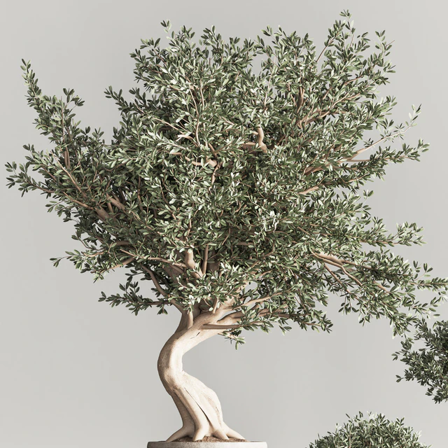 Indoor Plant Set 53 — Descargar