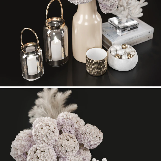 Decoration Set 07 Dry Flower and Coral — Скачать