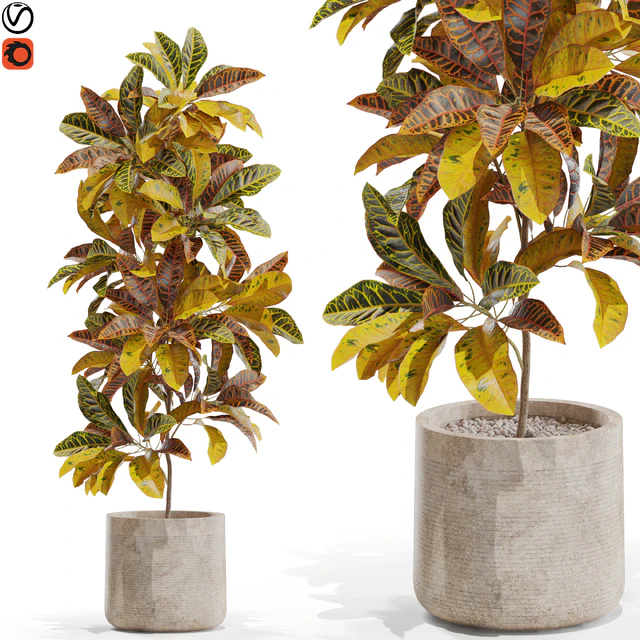 Plants collection 557 — Скачать