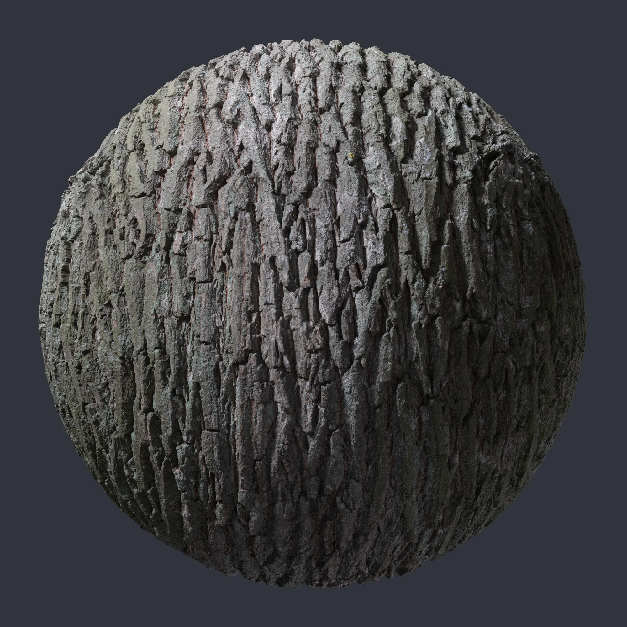 oak bark 003 — Скачать