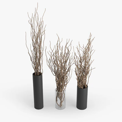 Dry Branch — Ver 5