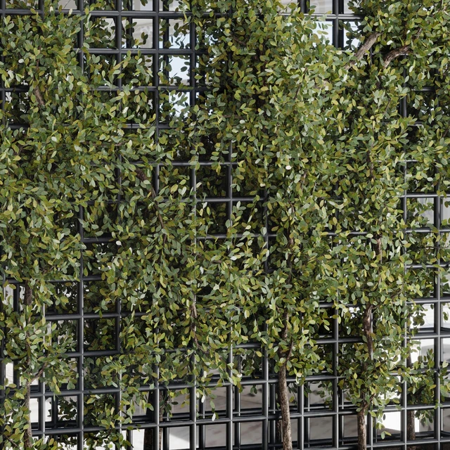 Plants Set Partition In Behind Glass - Ivy Garden Wall Decor Set 116 — Download