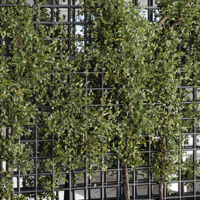 Plants Set Partition In Behind Glass - Ivy Garden Wall Decor Set 116 — View 5