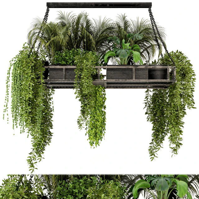 Indoor Hanging Plants in Metal Box - Set 71 — Скачать