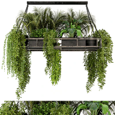 Indoor Hanging Plants in Metal Box - Set 71 — Вид 4