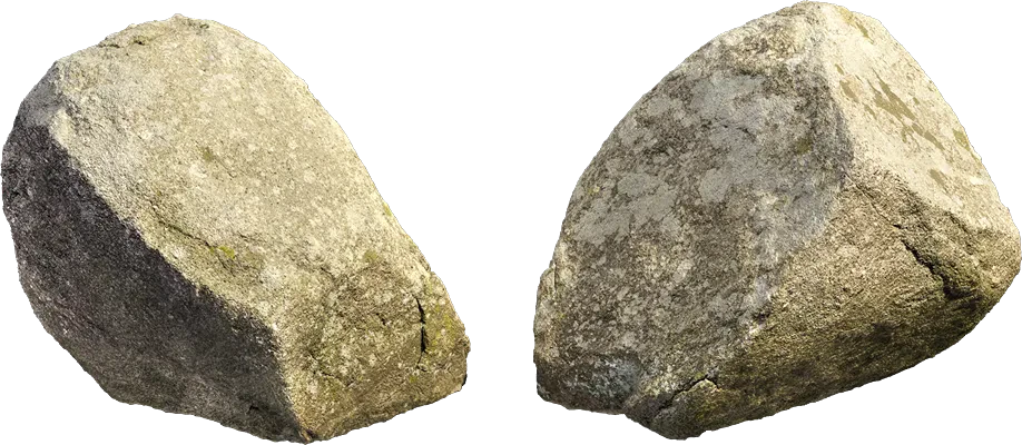 mossy forest boulder 025 — Descargar