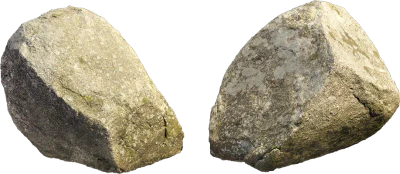 mossy forest boulder 025 — Descargar