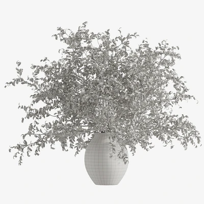 indoor potted plant set — Вид 4