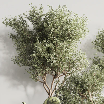 Indoor Plant Set 121 — Вид 6