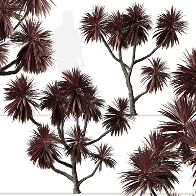 Set of Cordyline australis Trees (Cabbage Tree) (7 Trees) — Ver 3