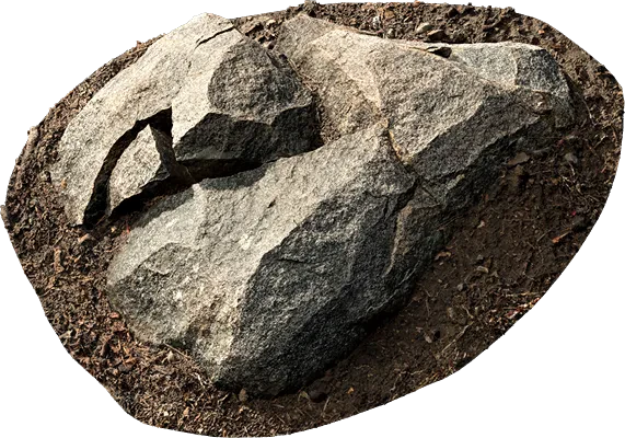 small forest rock 004 — Скачать