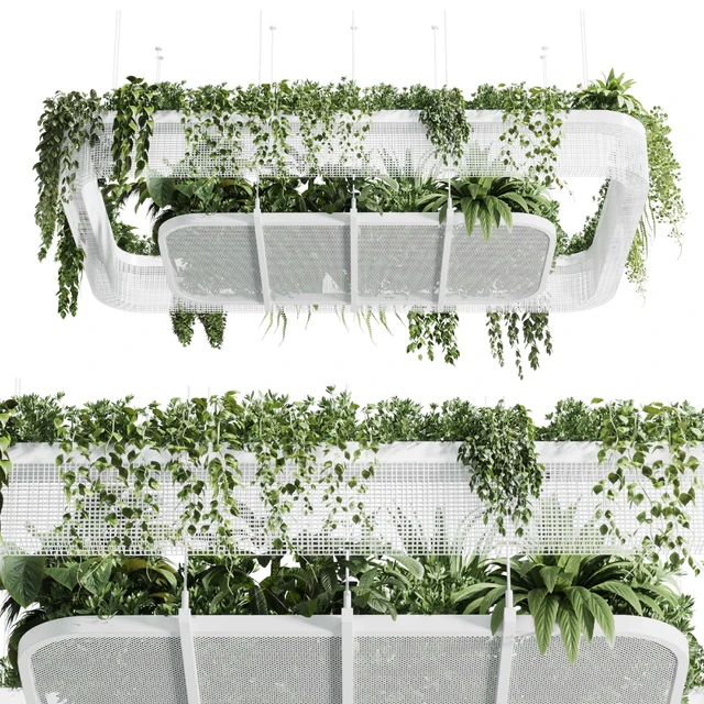 Hanging plants - indoor plant 323 corona — Descargar