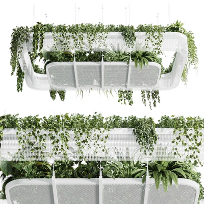 Hanging plants - indoor plant 323 corona — Ver 4