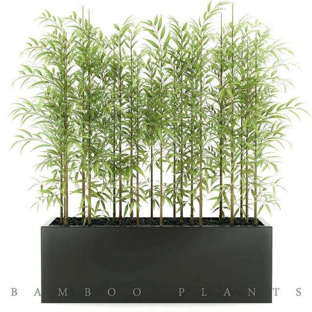 BAMBOO PLANTS 49 — Скачать