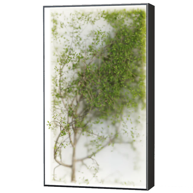 Plants in the light box vol 176 — Descargar