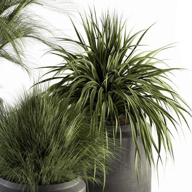 indoor Plant Set 223 - Plant Set in pot — Скачать