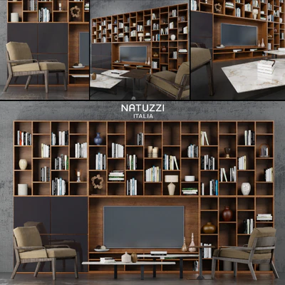Стенка + Кресла Natuzzi — Вид 1