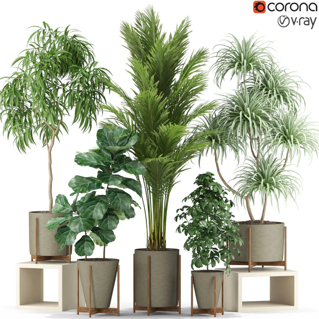 Plants collection 343 — Descargar