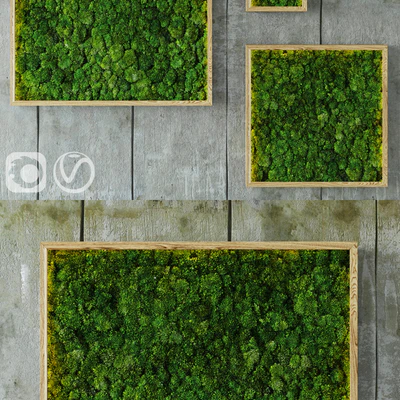 Moss modules 2 — Ver 2