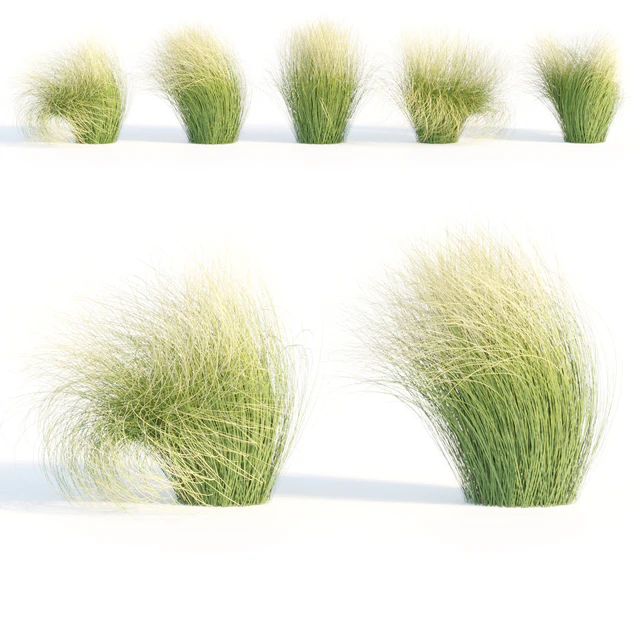 Maram Grass collection vol 155 — Descargar