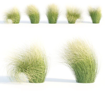 Maram Grass collection vol 155 — Ver 5