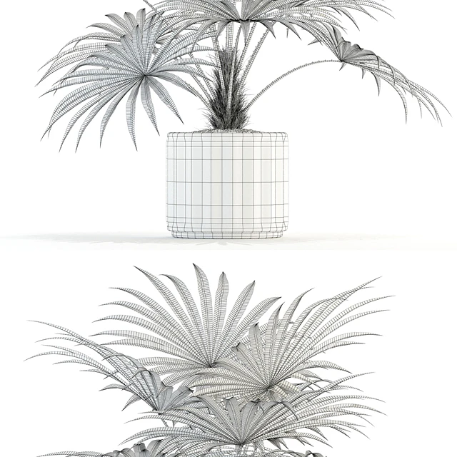 Plants collection 94 — Скачать
