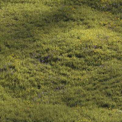 Grass and Flower — Вид 5
