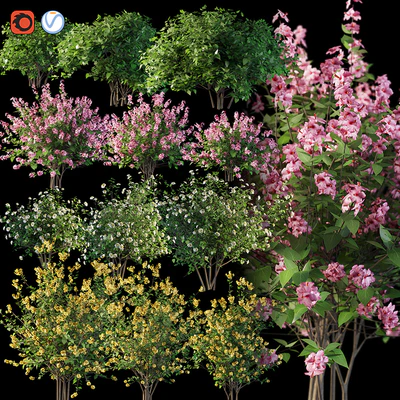 Set flowering shrubs 4 — Ver 1