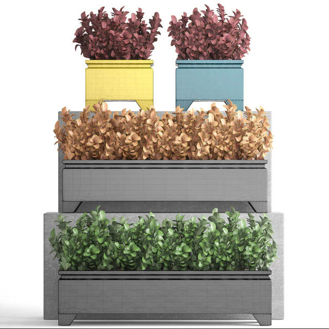 Collection of plants 110. Barberry, Barberry Thunberg, bushes, landscaping, garden flowerpot, outdoor pot, bush — Descargar