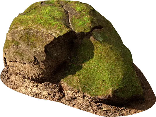 mossy forest boulder 006 — Descargar