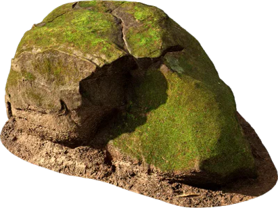 mossy forest boulder 006 — Descargar