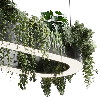 pot light - pendant plant light hanging 06 corona — Ver 5